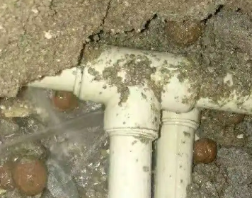 京口测漏水多少钱