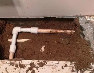 京口测漏水哪家好