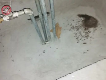 京口卫生间测漏水价格明细