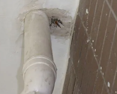 京口漏水检测哪家好